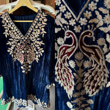 Graceful Elegance with Zari Embroidery & Velvet Accents