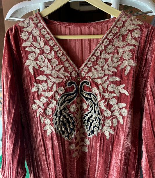 Graceful Elegance with Zari Embroidery & Velvet Accents