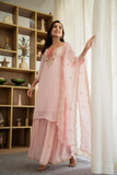 Graceful Chiffon suit with stylish neck design