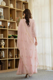 Graceful Chiffon suit with stylish neck design