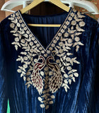 Graceful Elegance with Zari Embroidery & Velvet Accents
