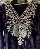 Graceful Elegance with Zari Embroidery & Velvet Accents