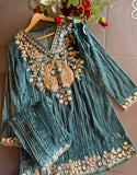 Graceful Elegance with Zari Embroidery & Velvet Accents