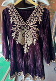 Graceful Elegance with Zari Embroidery & Velvet Accents