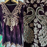Graceful Elegance with Zari Embroidery & Velvet Accents