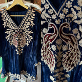 Graceful Elegance with Zari Embroidery & Velvet Accents