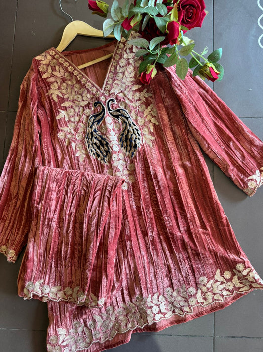 Graceful Elegance with Zari Embroidery & Velvet Accents