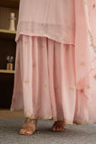 Graceful Chiffon suit with stylish neck design